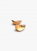 Cira earrings: acacia, bronze
